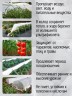 ​Парник ЧЗМ Дачник металлические дуги